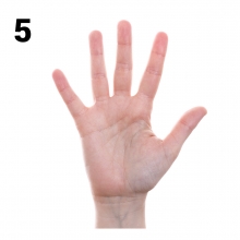 Imagen en la que se representa el número cinco