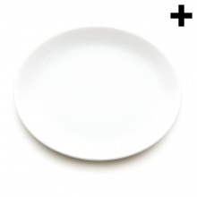 Imagen en la que se ve un plato blanco llano