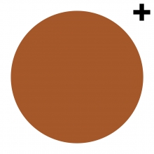 Imagen en la que se ve un círculo de color marrón