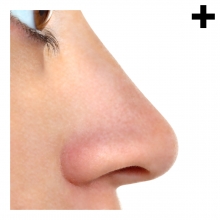 Imagen en la que se ve el plural del concepto nariz