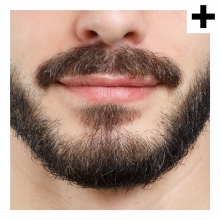 Imagen en la que se ve el plural del concepto barba
