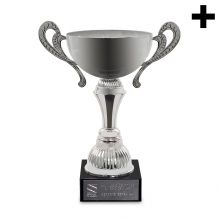 Imagen en la que se ve el plural del concepto trofeo