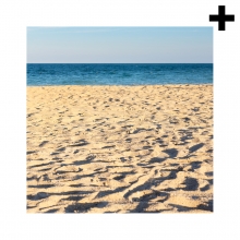 Imagen en la que se ve el plural del concepto playa