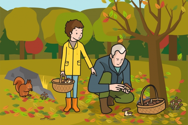 El abuelo y el niño recogen setas en el bosque en otoño