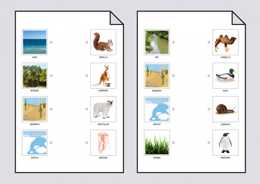 Relacionar lugares y animales: Conciencia léxica #Soyvisual