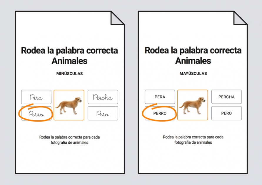 Rodea la palabra correcta Animales Lectoescritura Soyvisual